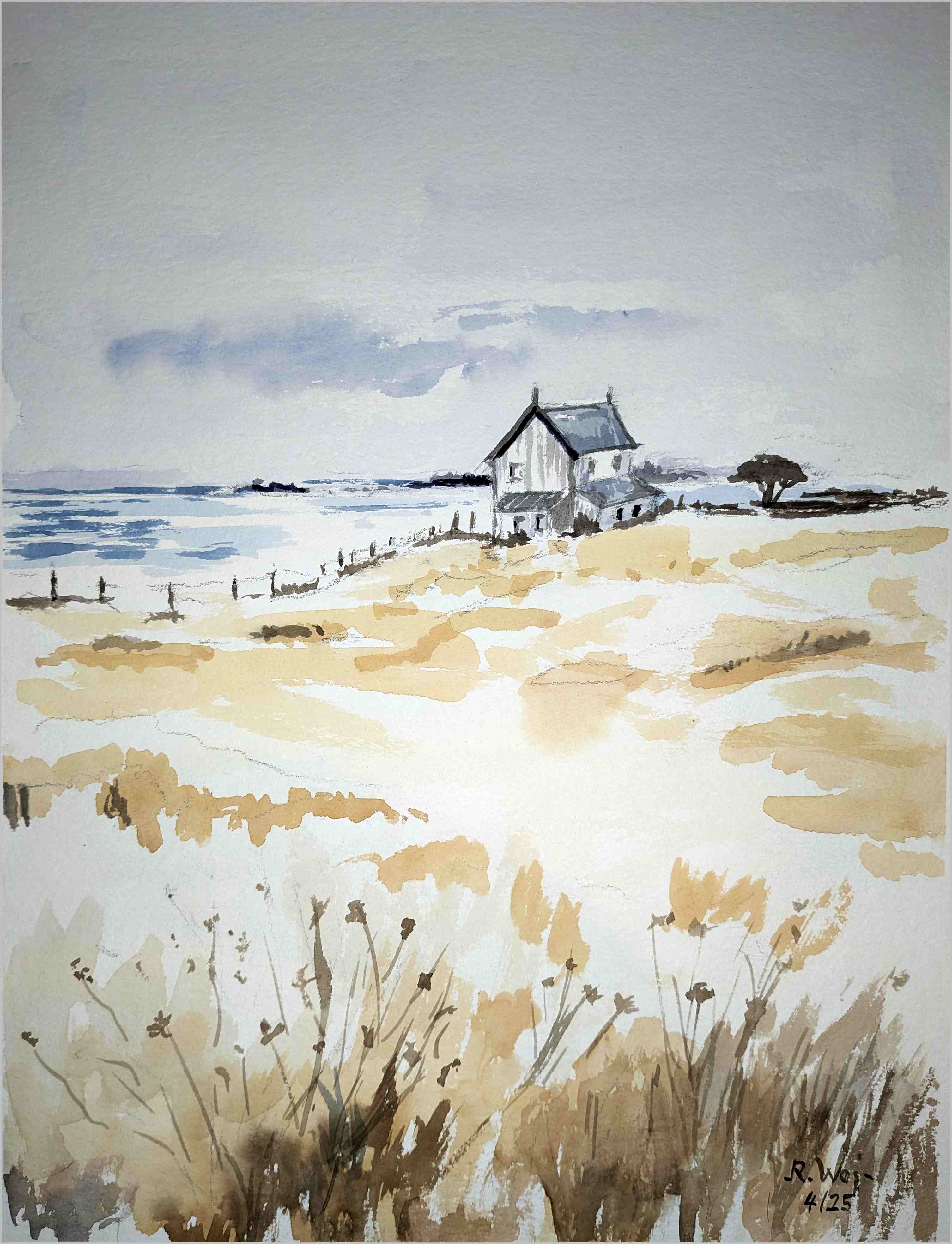 Kuestenlandschaft